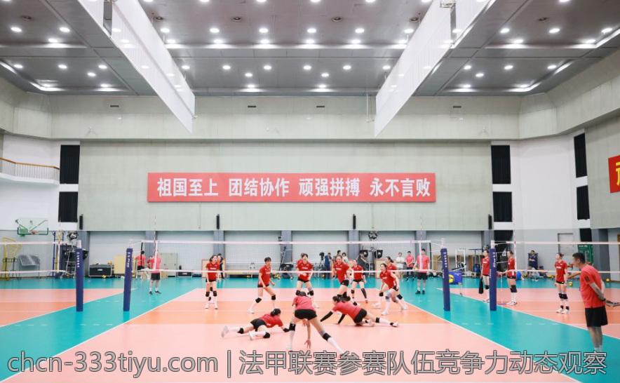 法甲联赛参赛队伍竞争力动态观察